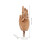 Art Hand Model: Handvormig Gewrichtsmodel Voor Schetsen 1 Set 2