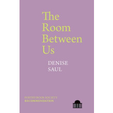 The Room Between Us by Denise Saul Paperback Book