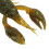 10 Stück grüne weiche PVC-Crawdad-Anglerköder für Barschangeln, 5,5 cm 12