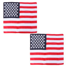 2pcs Small Re Patriotic Scarves For Neck Headband Hair Wrap
