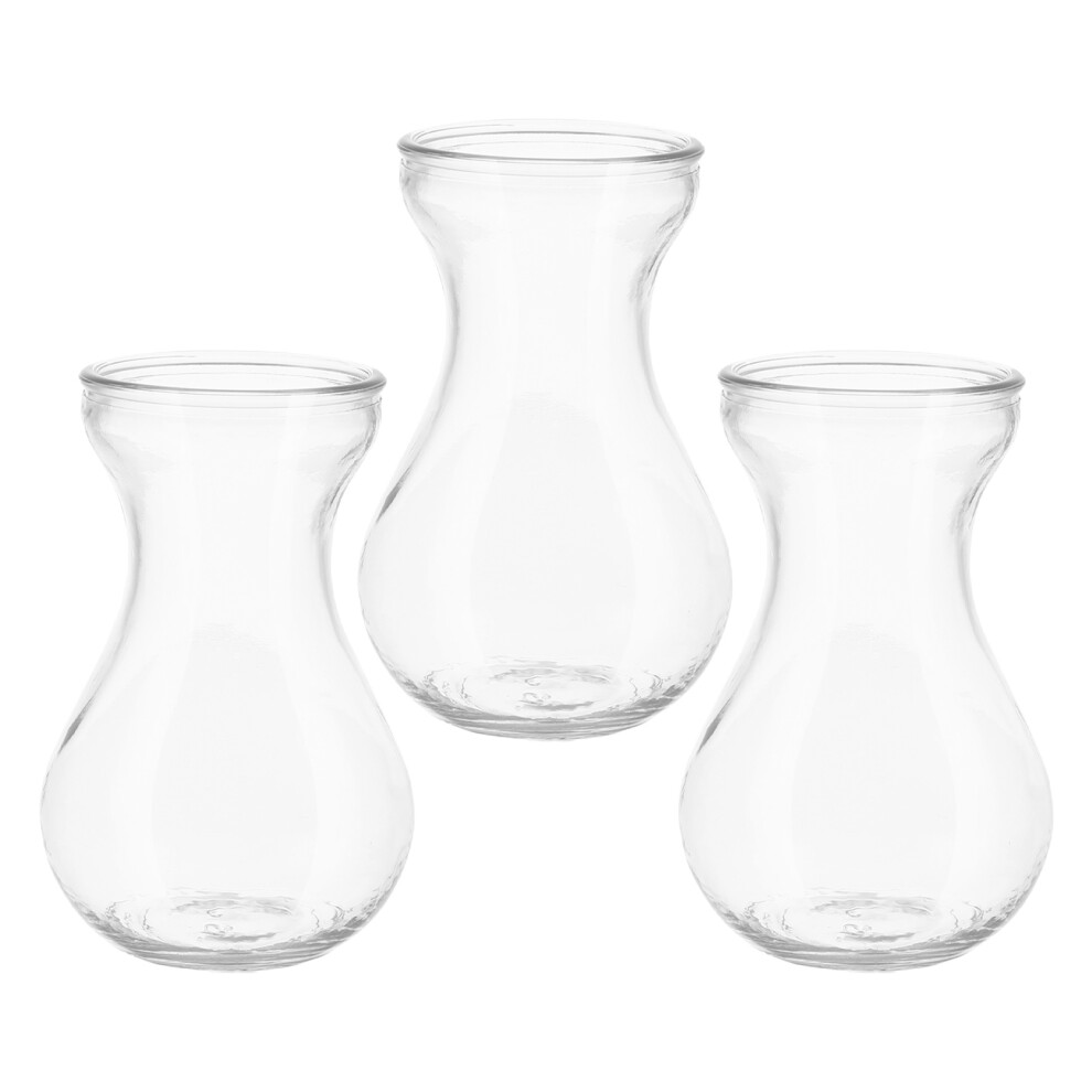 3pcs Clear Glass Vases Small Flower Bulb Forcing Containers Set-image-OPC-PMQF5YX-NEW