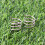 4pcs high elastic clip for bike disc brake caliper spring 4