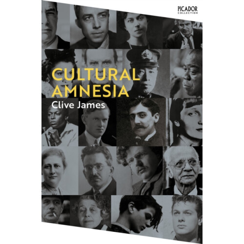Cultural Amnesia by Clive James Paperback Book
