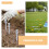 20 Unidades Aerator Calcanhares Com Espigões Cm 9