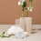 para répteis com saídas para terrários 6