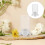 para répteis com saídas para terrários 11