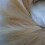 Artificial Pampas Grass Reed Wreath for Home Front Door Wall Decoration 5