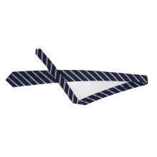 Herren Blau-Gewerbskrawatte mit Streifen, formell & leger, pflegeleichtes Polyester