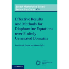Effective Results and Methods for Diophantine Equations over Finitely
