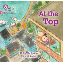 At the Top by Holly Woolnough Paperback Book