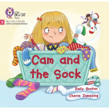 Cam and the Sock by Emily Hooton Paperback Book