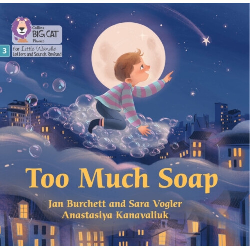 Too Much Soap by Sara Vogler Paperback Book