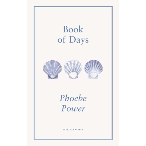Book of Days by Phoebe Power Paperback Book
