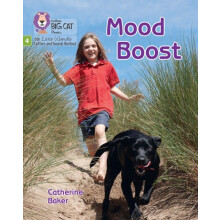 Mood Boost by Catherine Baker Paperback Book