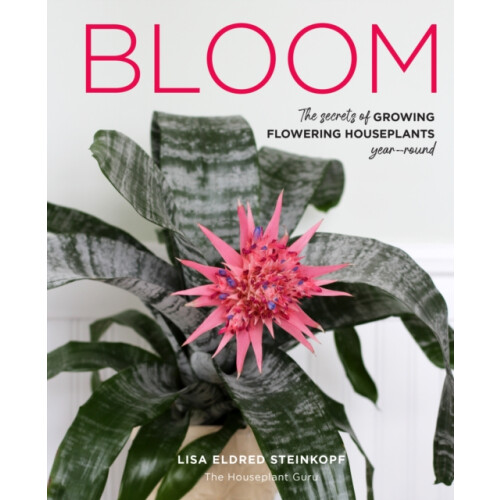 Bloom by Lisa Eldred Steinkopf Hardcover Book