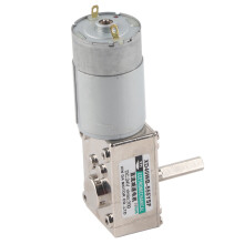 Turbinen-Schneckengetriebemotor DC Große Torsion