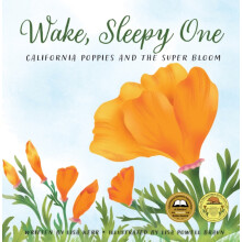 Wake Sleepy One by Lisa Kerr Hardcover Book