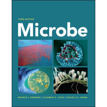 Microbe by Horak Rachel E. A. American Society for Microbiology Washin