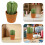 Spilli Cactus Resistente Organizer Cucito 10