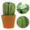 Spilli Cactus Resistente Organizer Cucito 9