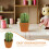 Spilli Cactus Resistente Organizer Cucito 7