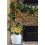 Oirse Set de fleurs décoratives or 2 pièces 28 x 50 cm 5