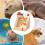 Hamster Hideouts Wooden Small Pet Habitats 3