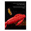 15er-Pack elastische Weichplastik-Garnelenköder,-Grau 4cm 6