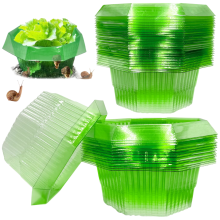 Snail & Slug Protection Rings - 20 Pack of Green Plastic Plant Collars for Vegetable Gardens, Flowers & Seedling Protection