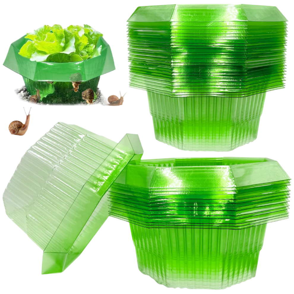Snail & Slug Protection Rings - 20 Pack of Green Plastic Plant Collars for Vegetable Gardens, Flowers & Seedling Protection-image-OPC-PMQMPMD-NEW