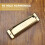 10 Holes 20 Tone G Key Harmonica with Storage Box Gold 5