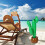2 stuks opblaasbare cactus-kokospalm 7
