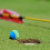 20 Pcs Golf BallsSoft Foam Garden Balls Practice 8