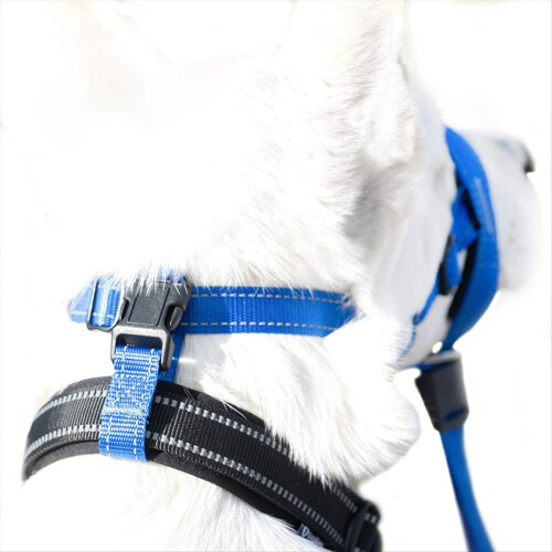Dog Mouth Muzzles Anti Bark Collar Breathable Training Tool, M-B 2