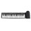 Keyboard Piano Roll Up Electric 7