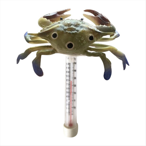 Schwimmendes Poolthermometer, gut ablesbar, große Größe 1