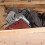 Sanding Sheet Set,Accessories for Multi Sander,Orbital Sander 6