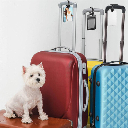 20-pack sublimatie blanco bagagelabels 2