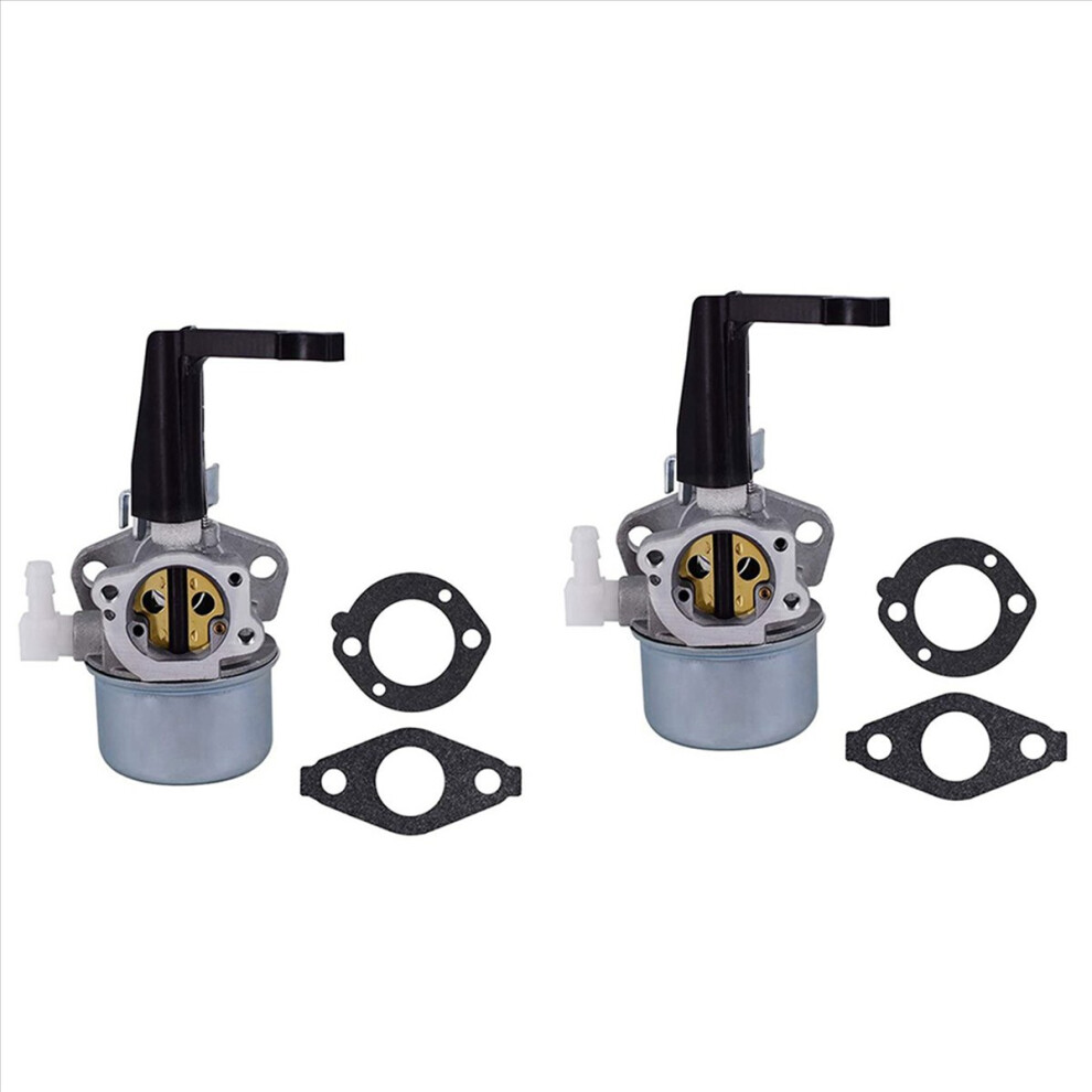 Carburetor For 696065 697422 110402 110412 215369 4853020757791