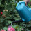 5L tuingieter, groene wasblikken met sproeikop 4