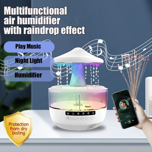 Rain Cloud Humidifier 2