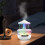 Rain Cloud Humidifier 5