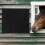 Silicone Cattle Scratcher Post Black Itch Stop Brush 5