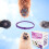 Adjustable Cat Calming Collar Cat Pheromones Kit Relaxation Collar Small Medium Large Cats 4-Piece Set 2