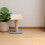 Stevige Kattenklimboard Beige Doe- - Krabpaal Basis 5