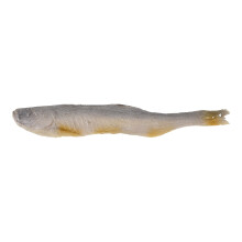 Täuschend Echtes Künstliches Fischmodell Für Restaurantdeko