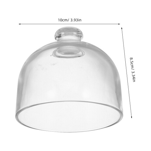 Kuchenhaube Transparent Servierplatte Schutzglocke 2