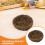 2Pièces En Pour Décor Intérieur Jardin 7