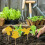 Yellow Sticky Bug Trap with Seedling Riser, 11x9cm, 200g 6