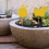 Yellow Sticky Bug Trap with Seedling Riser, 11x9cm, 200g 4